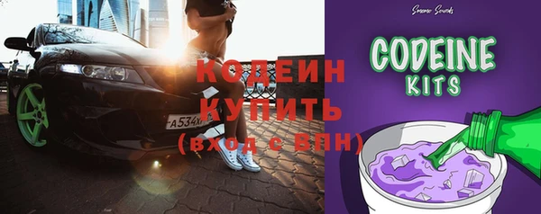 гидра Корсаков
