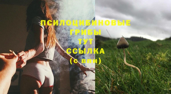 первитин Киренск