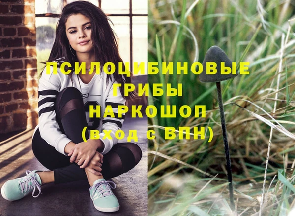 СК Елизово