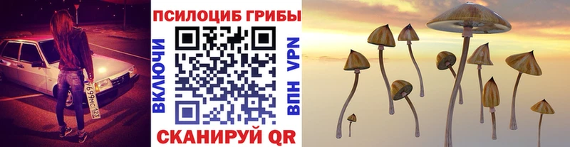 Псилоцибиновые грибы мицелий  Лабинск 