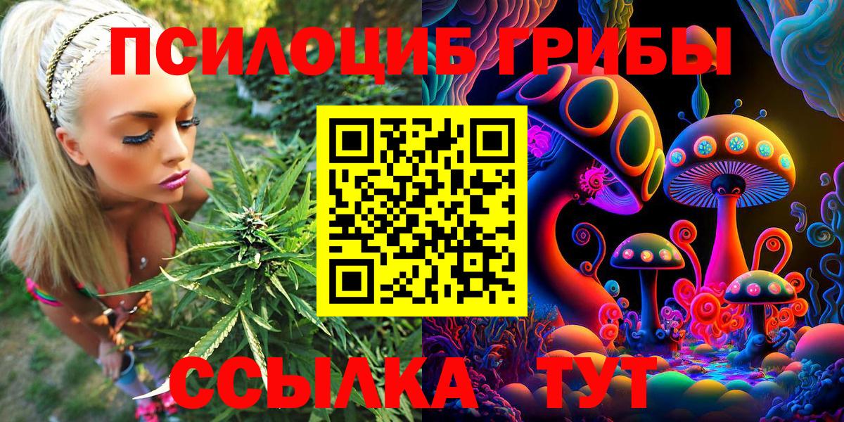 Псилоцибиновые грибы Psilocybine cubensis  Вход с VPN  Лабинск 